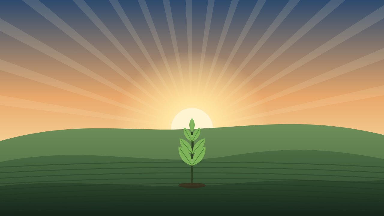 Vector image of sunset